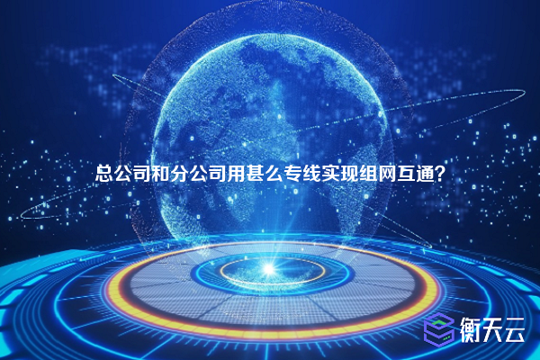 总公司和分公司用甚么专线实现组网互通？