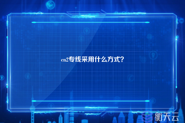 cn2专线采用什么方式？