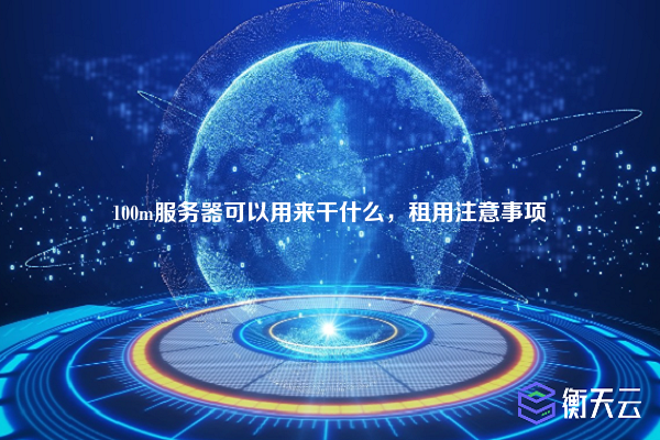 100m服务器可以用来干什么，租用注意事项