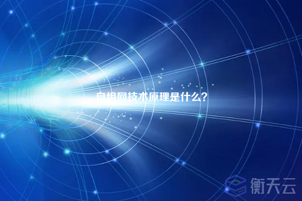 自组网技术原理是什么？